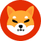 Shiba-inu